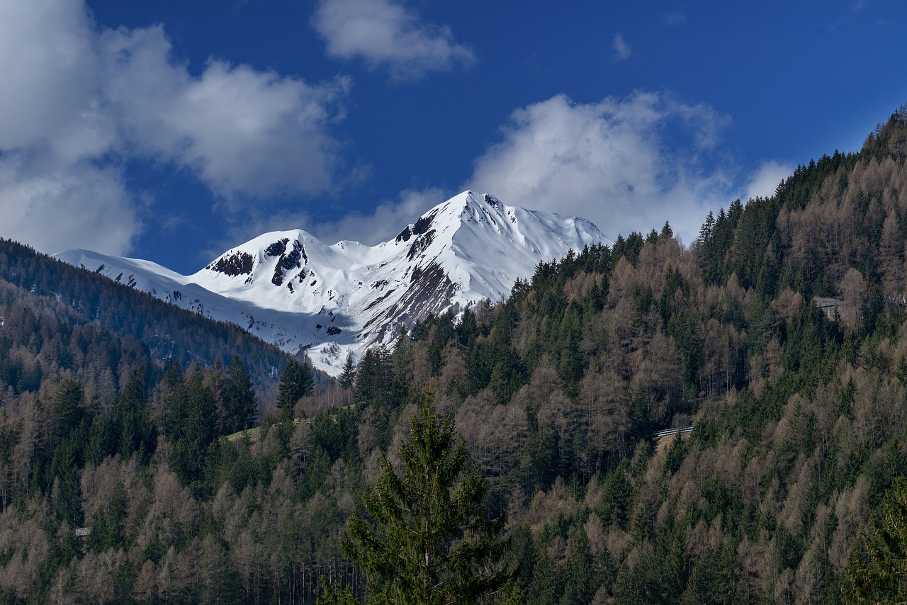 mountain  mountains  alpine free photo