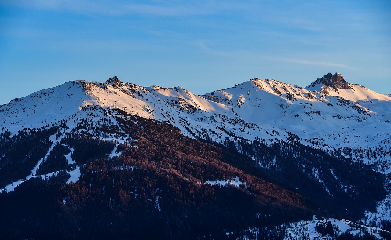 mountain  snow  forest free photo