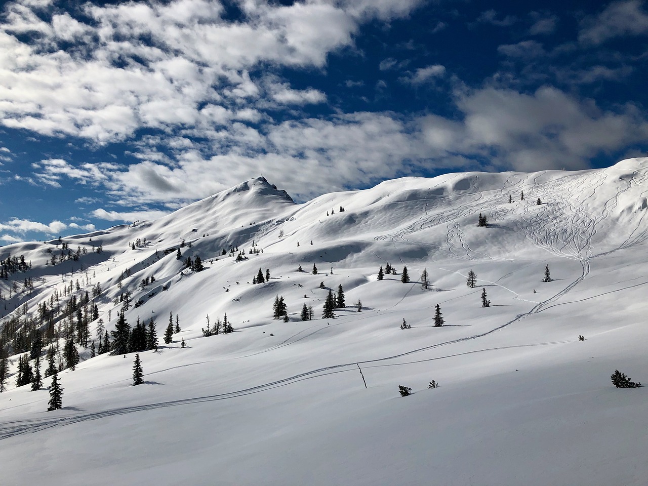 mountain  snow  austria free photo