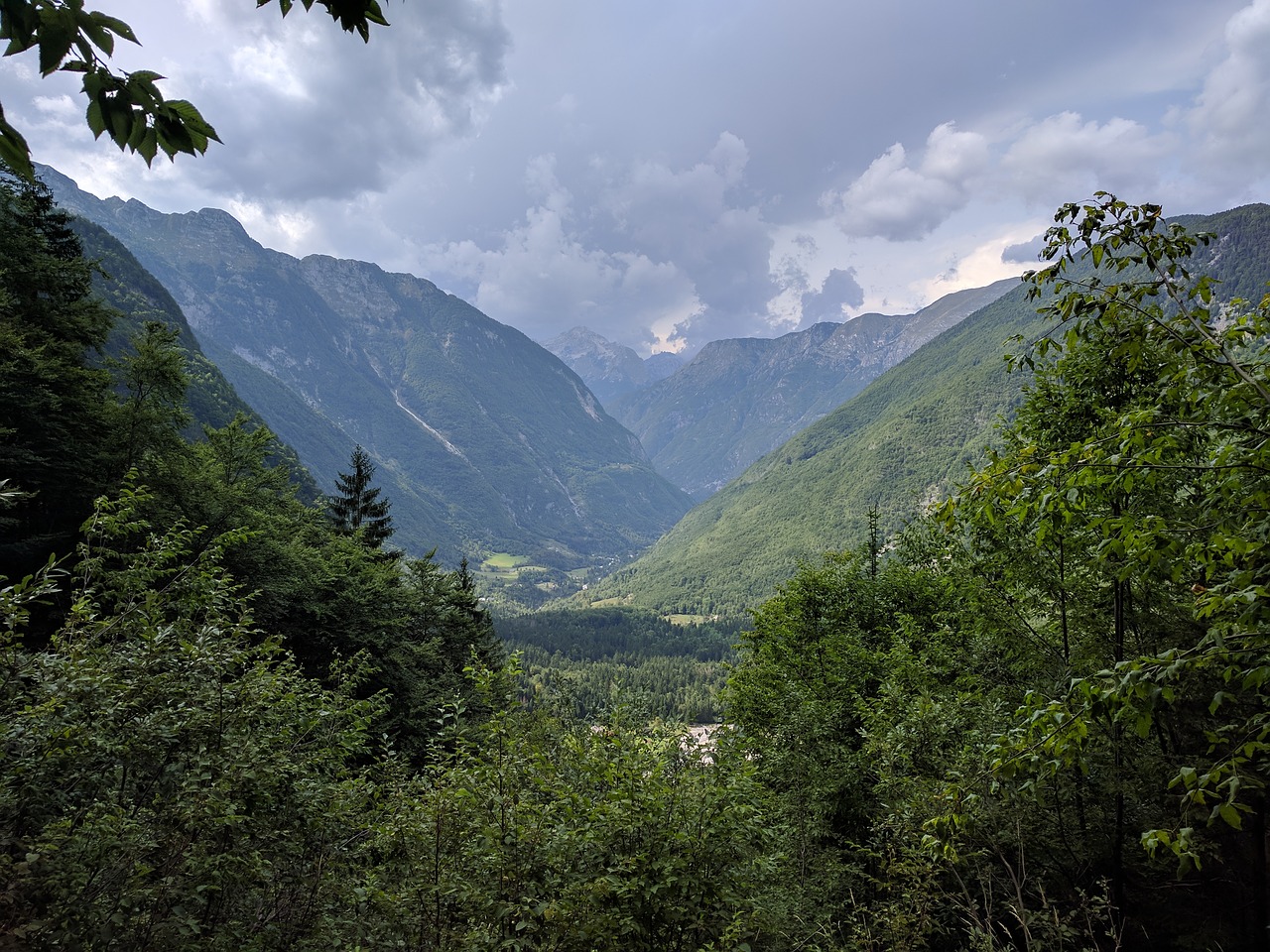 mountain  mountains  mountain forest free photo