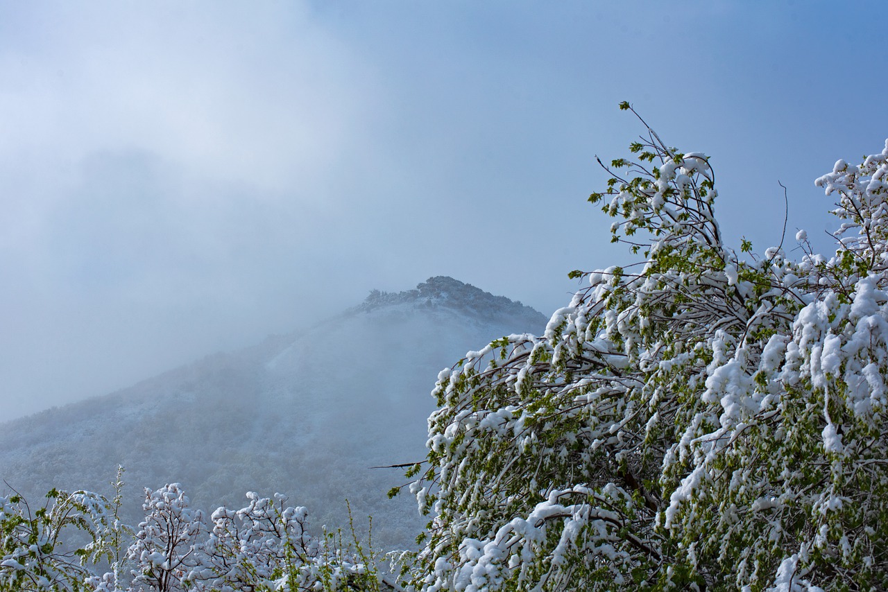 mountain  fog  mountains free photo