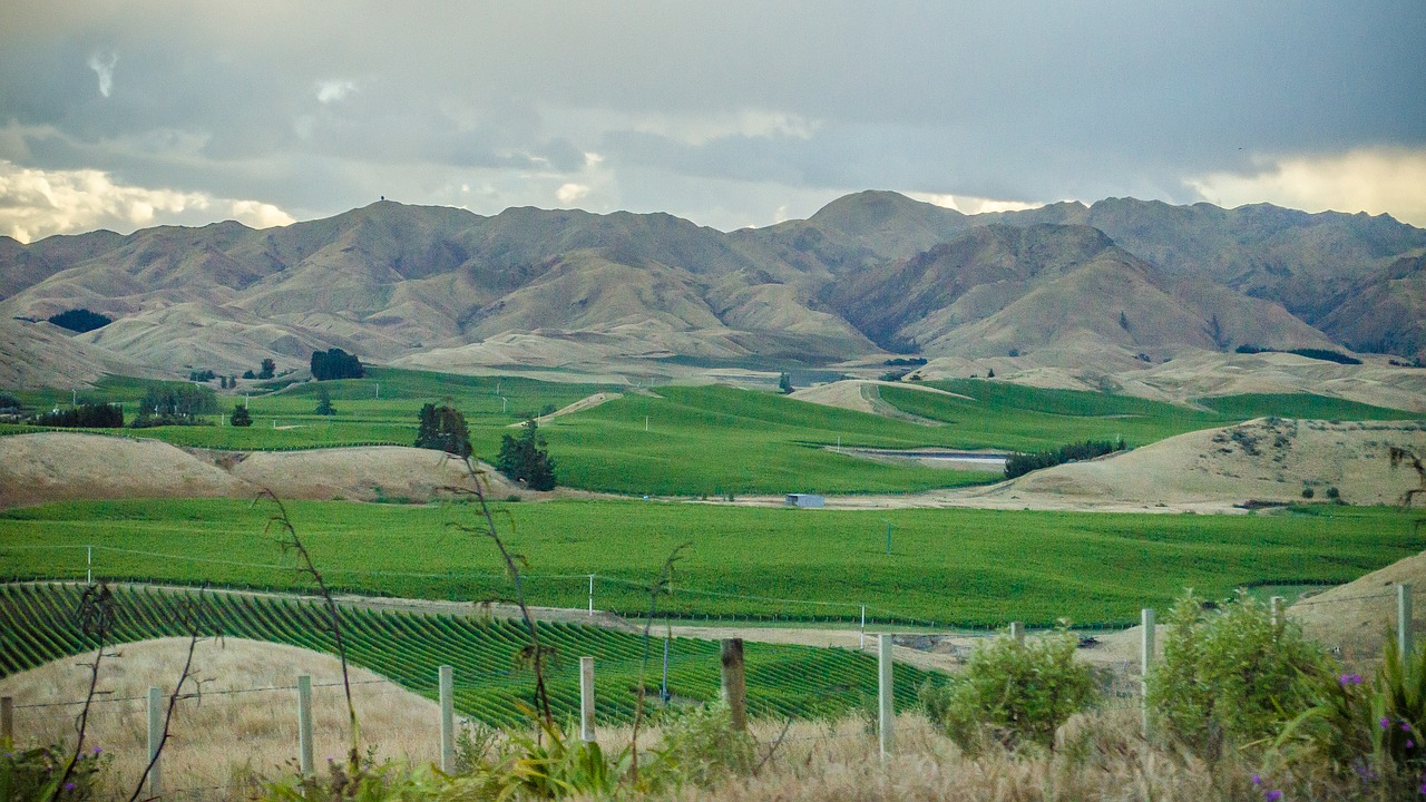 mountain fields vineyards free photo