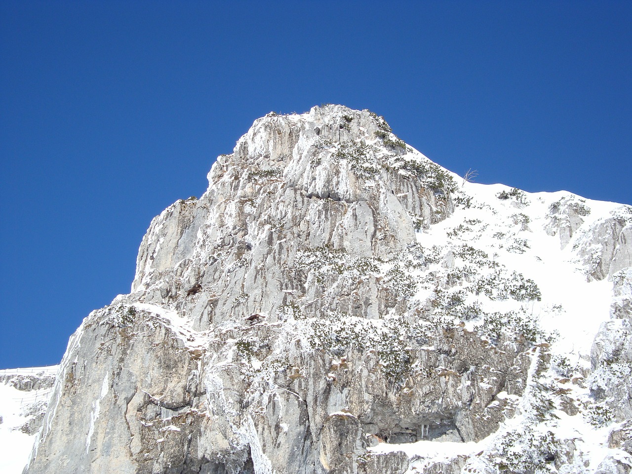 mountain snow summit free photo