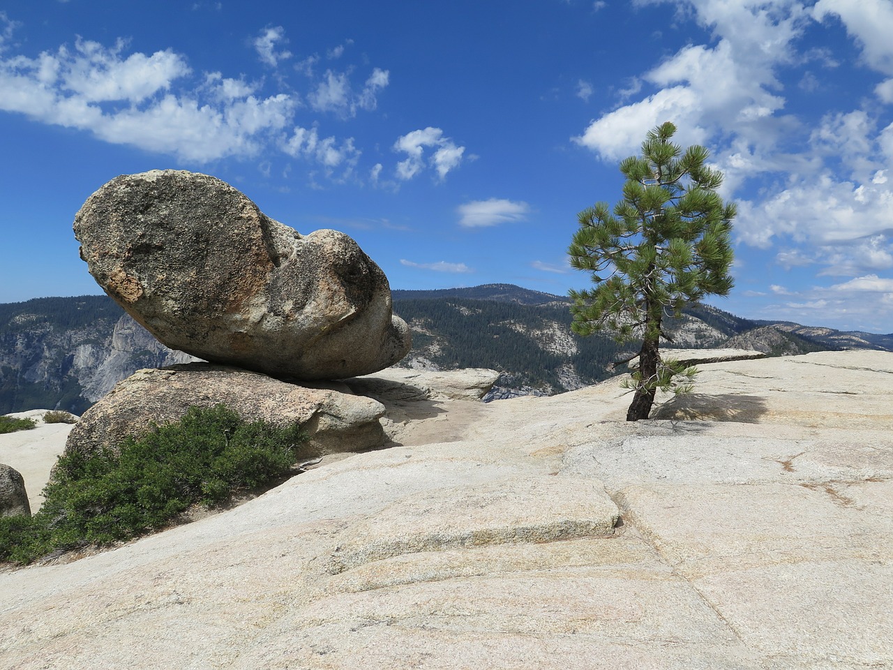 mountain pine landscape free photo