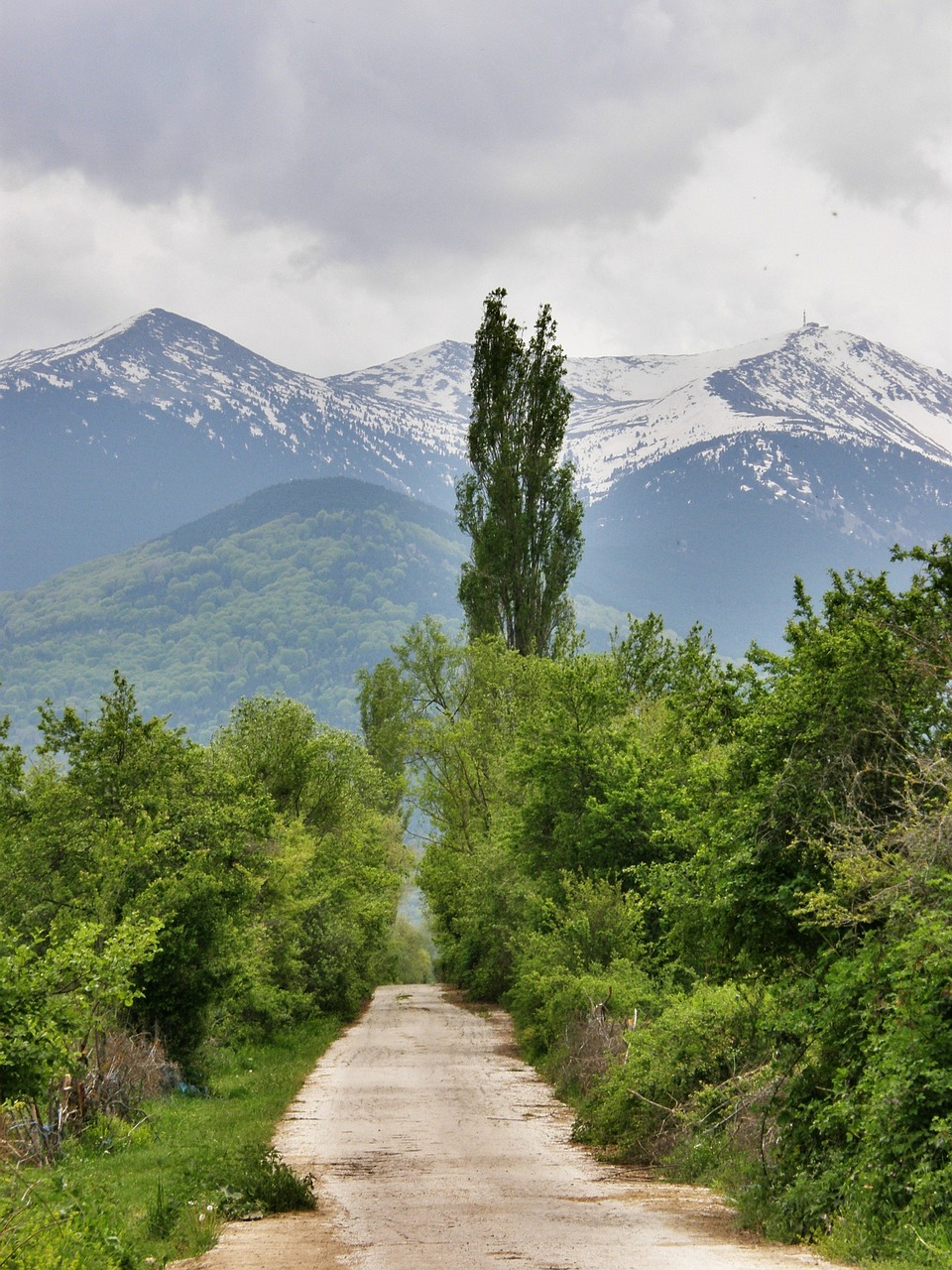 mountain road country free photo