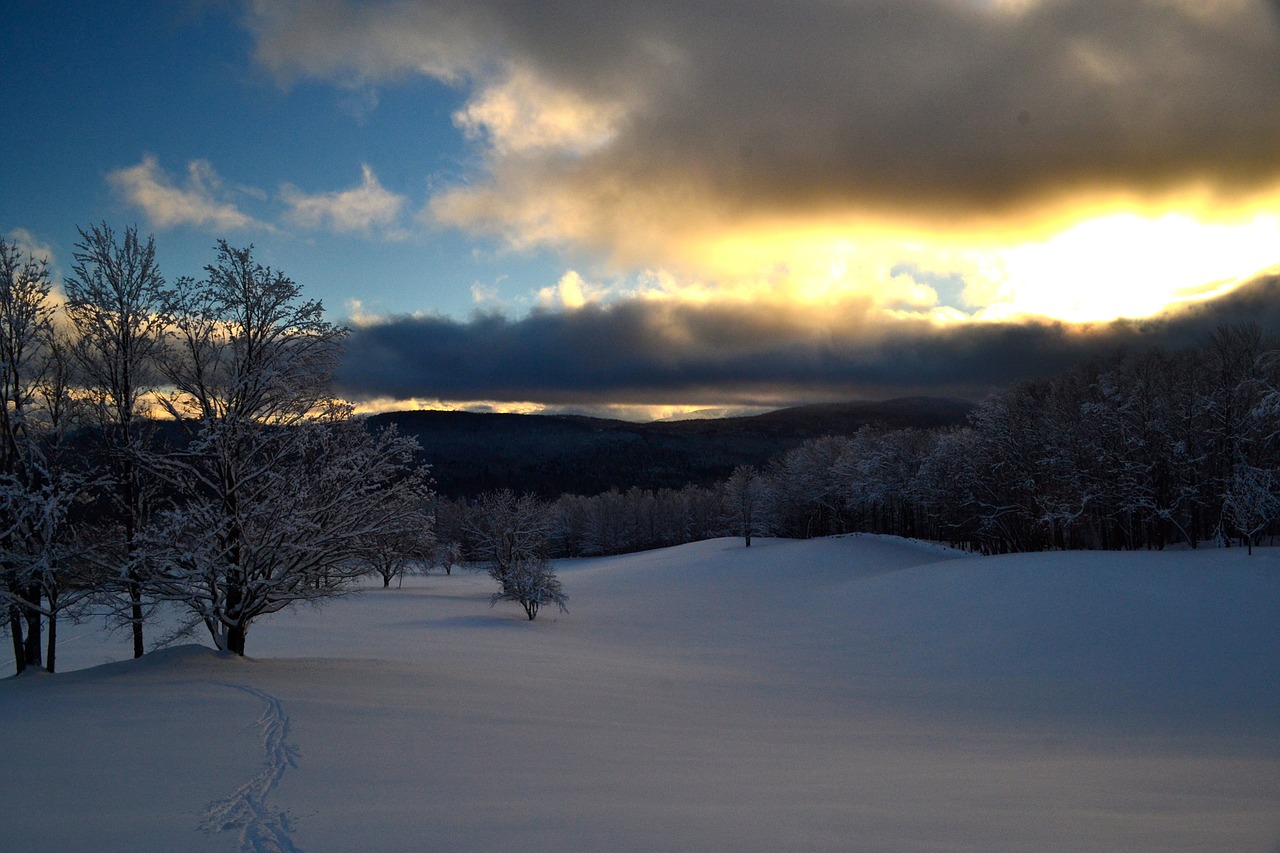 mountain snow winter free photo