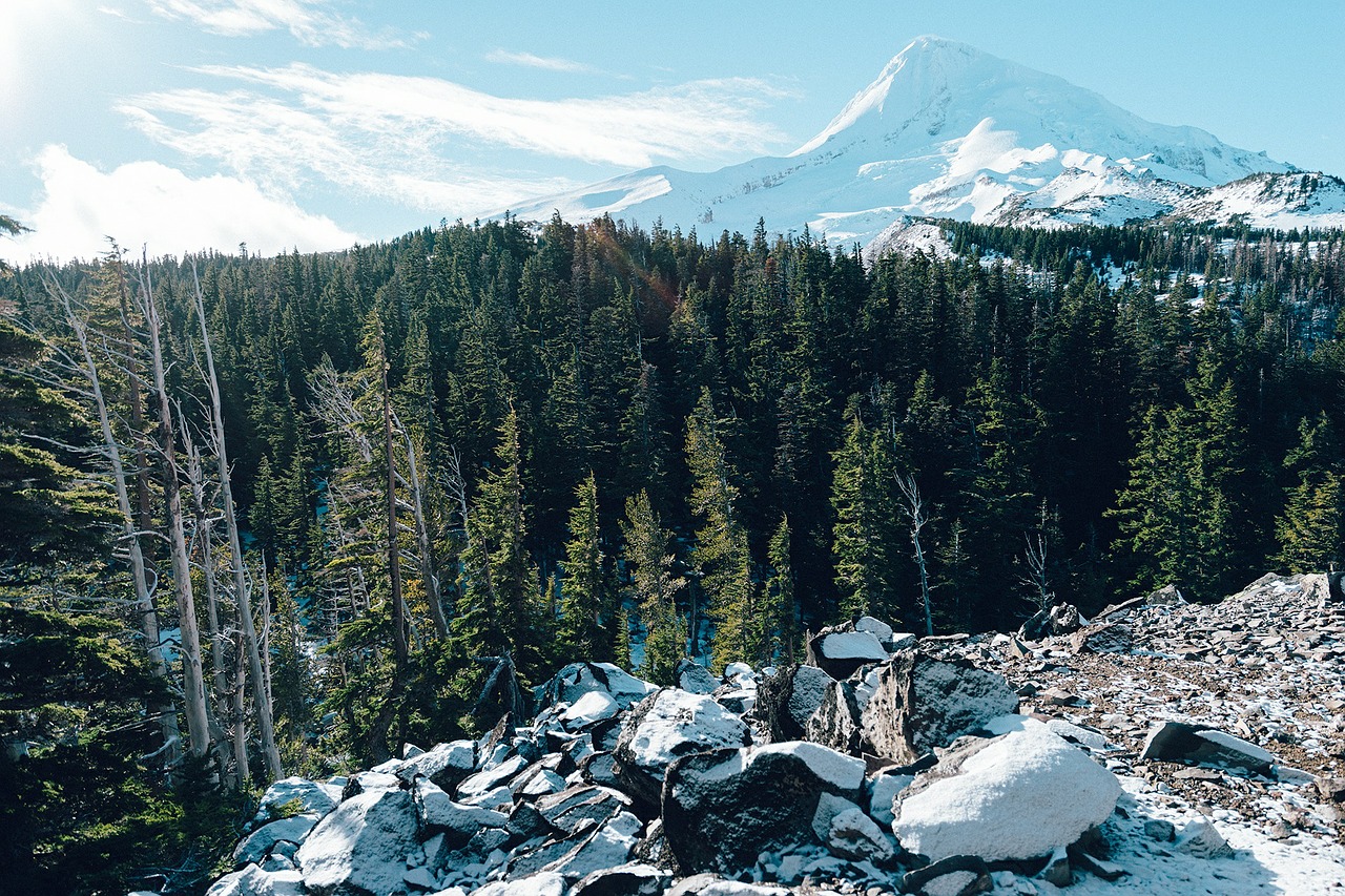 mountain winter forest free photo