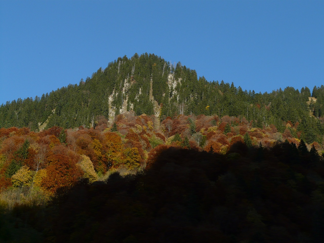 mountain autumn forest free photo