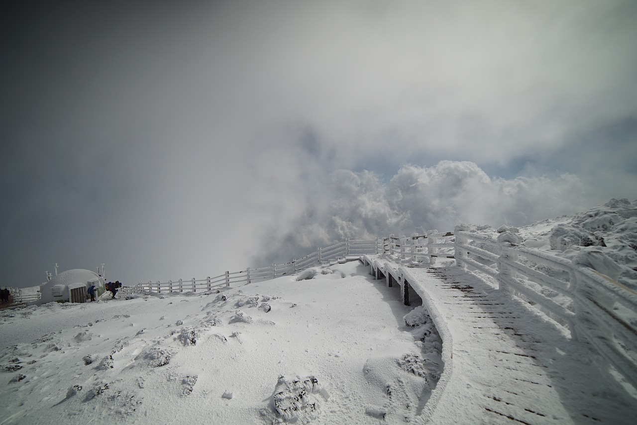 mountain top halla free photo