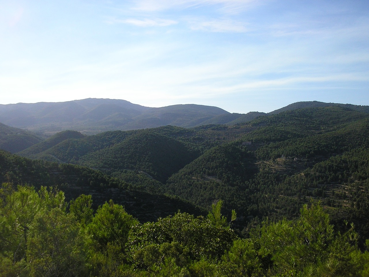 mountain landscape tree free photo