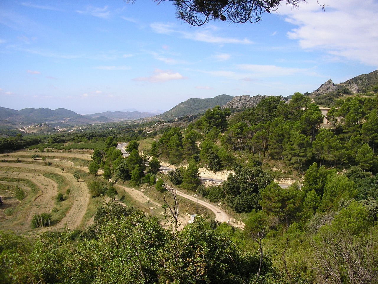 mountain landscape tree free photo