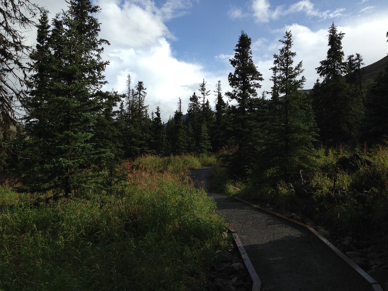 mountain scenery trail free photo