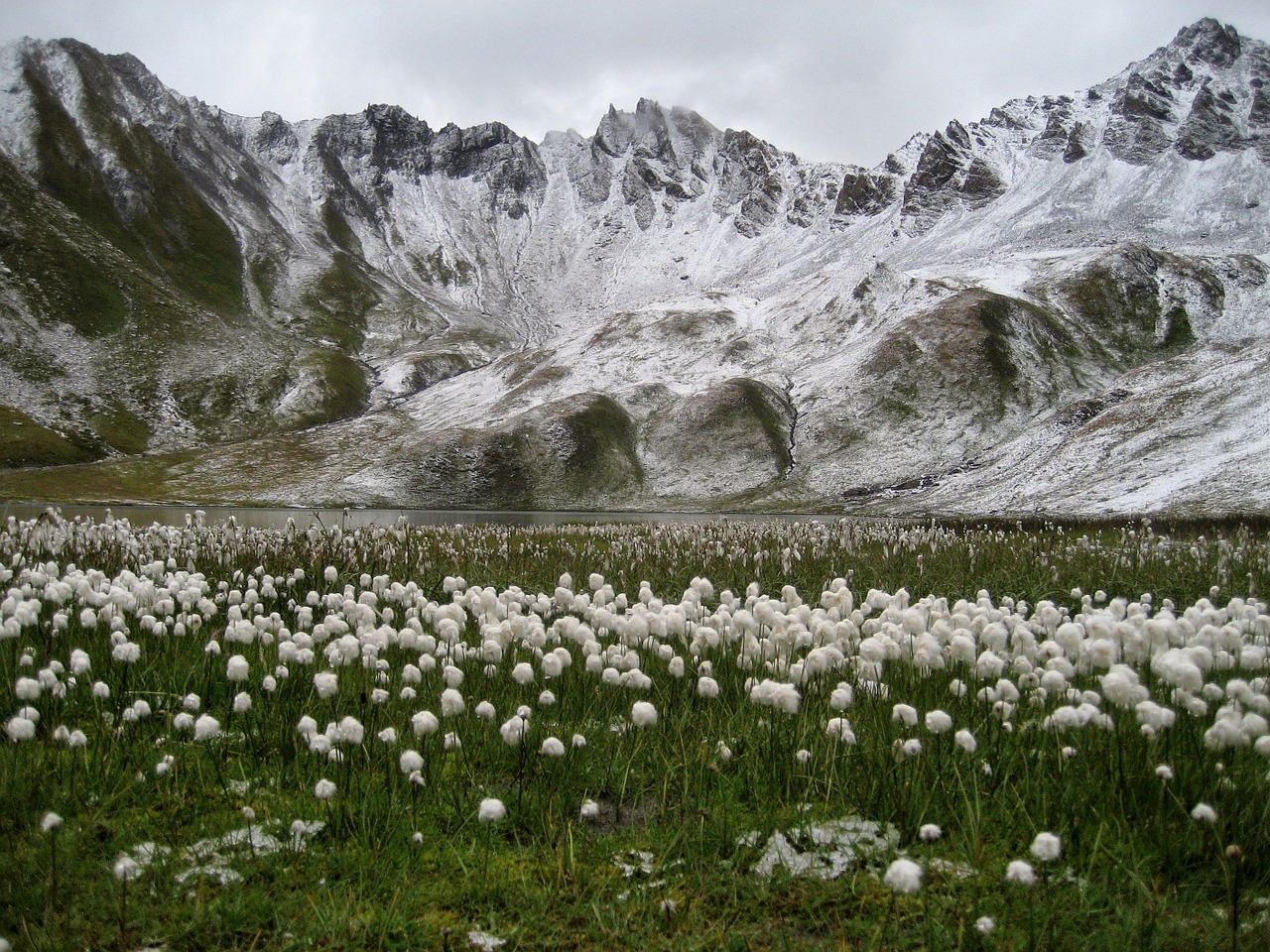 mountain snow tignes free photo