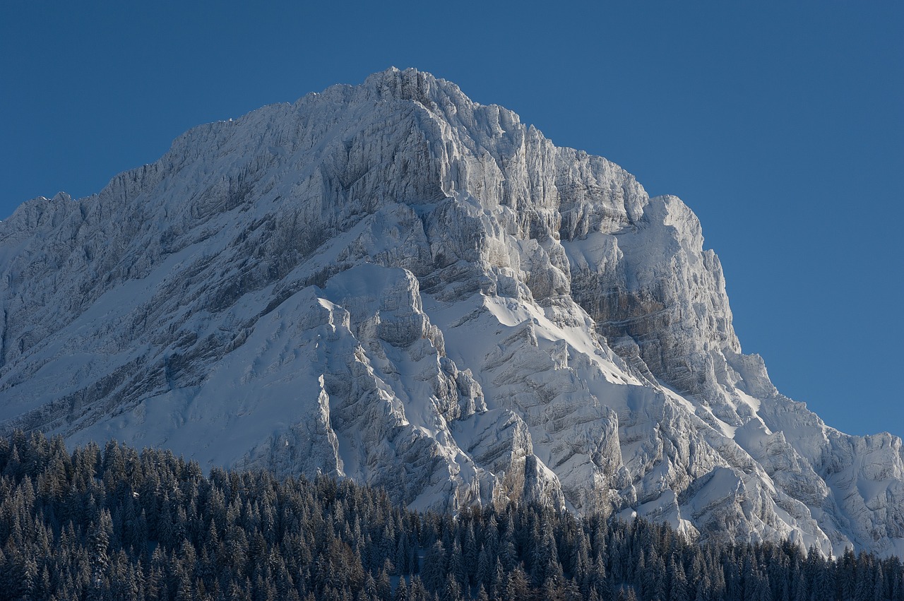 mountain snow alps free photo