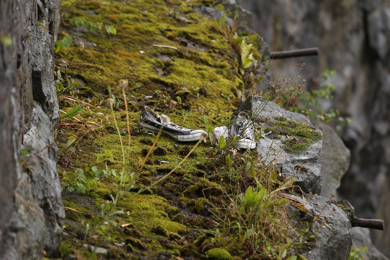 mountain cliff moss free photo