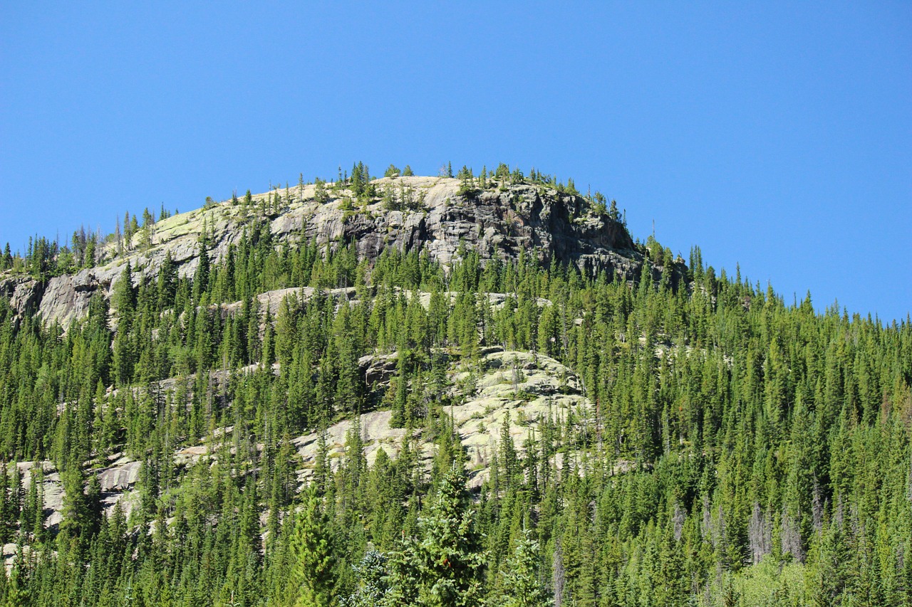 mountain forest rocky mountain national park free photo