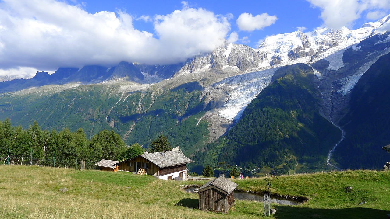 mountain snow meadow free photo