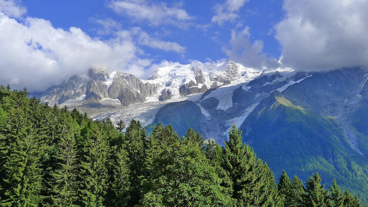 mountain snow meadow free photo