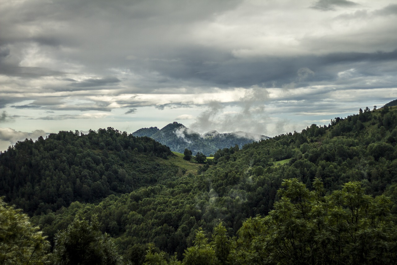 mountain forest valley free photo