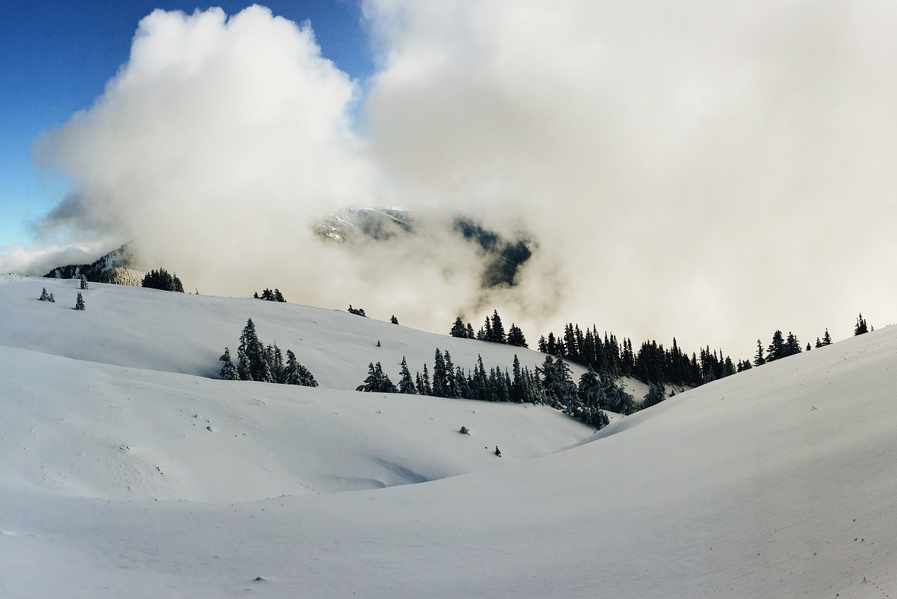 mountain snow winter free photo