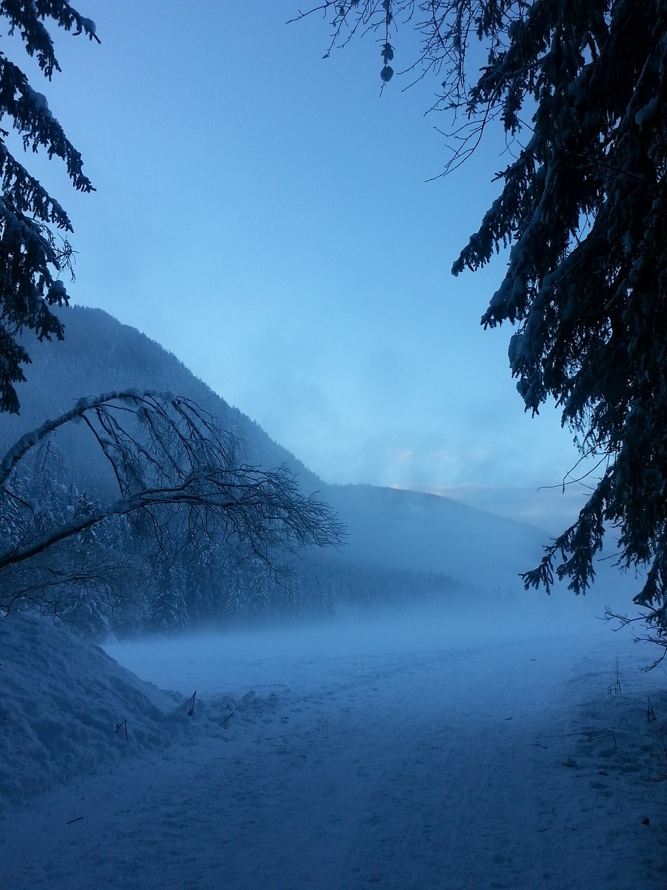 mountain snow winter free photo