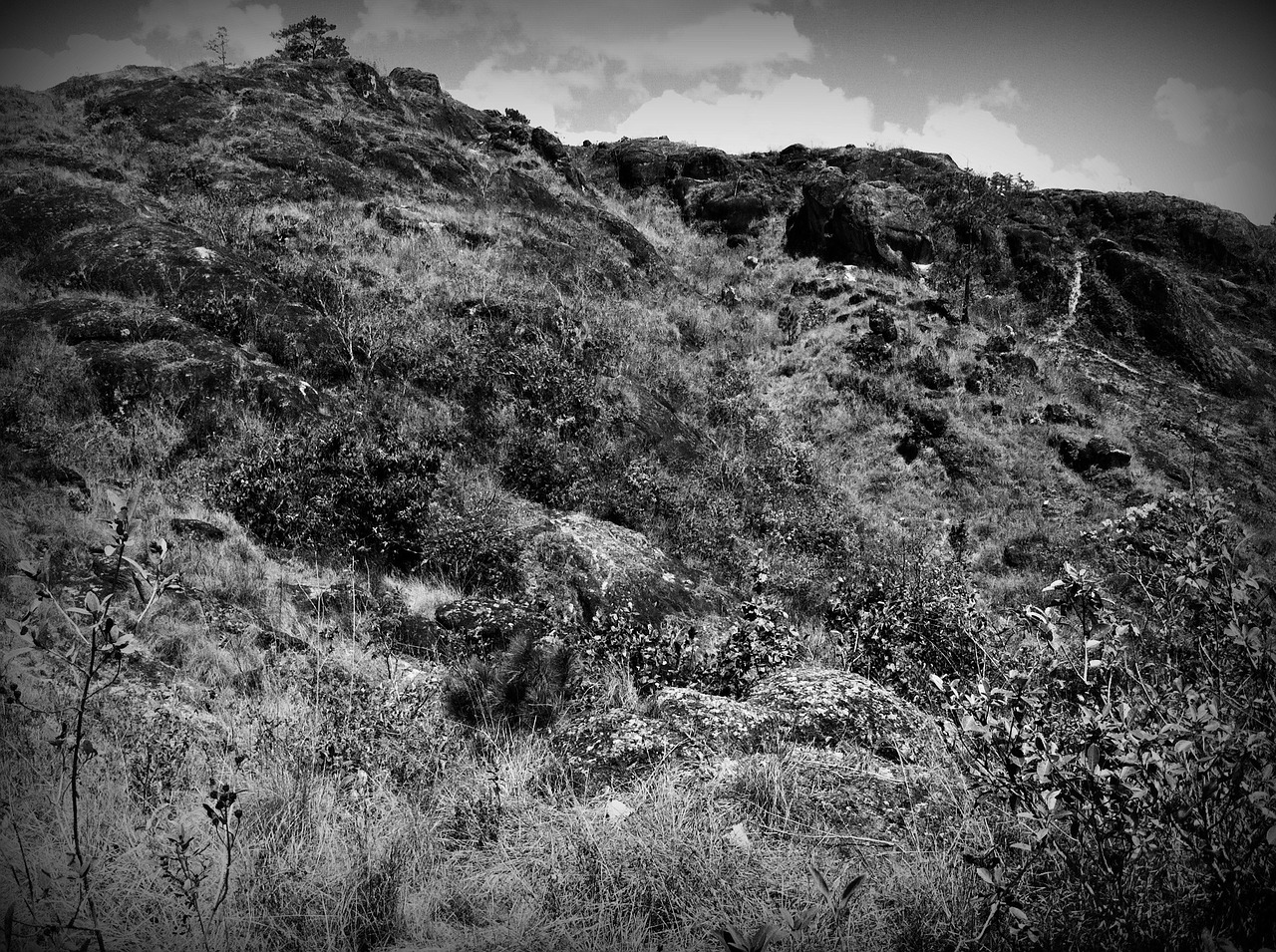 mountain black and white landscape free photo