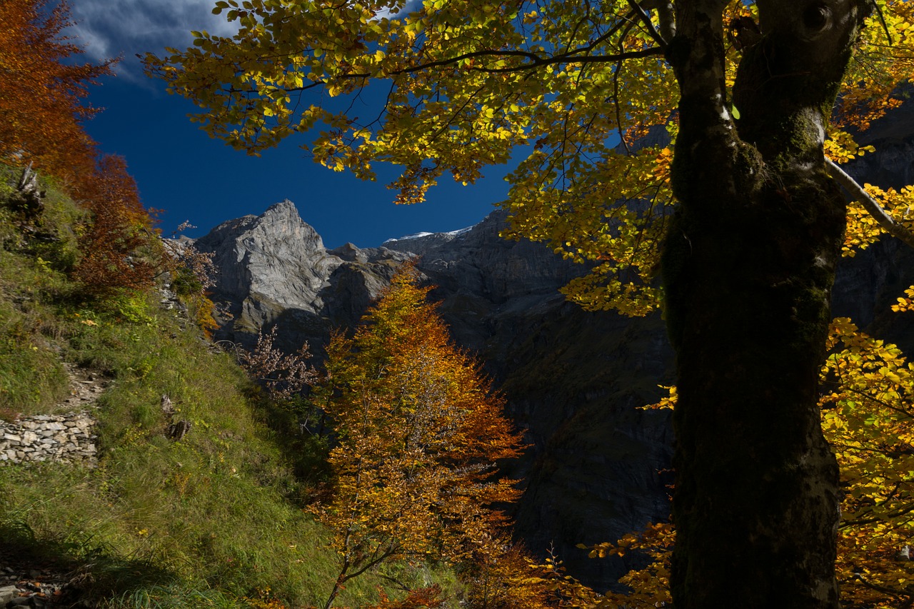 mountain nature landscapes free photo