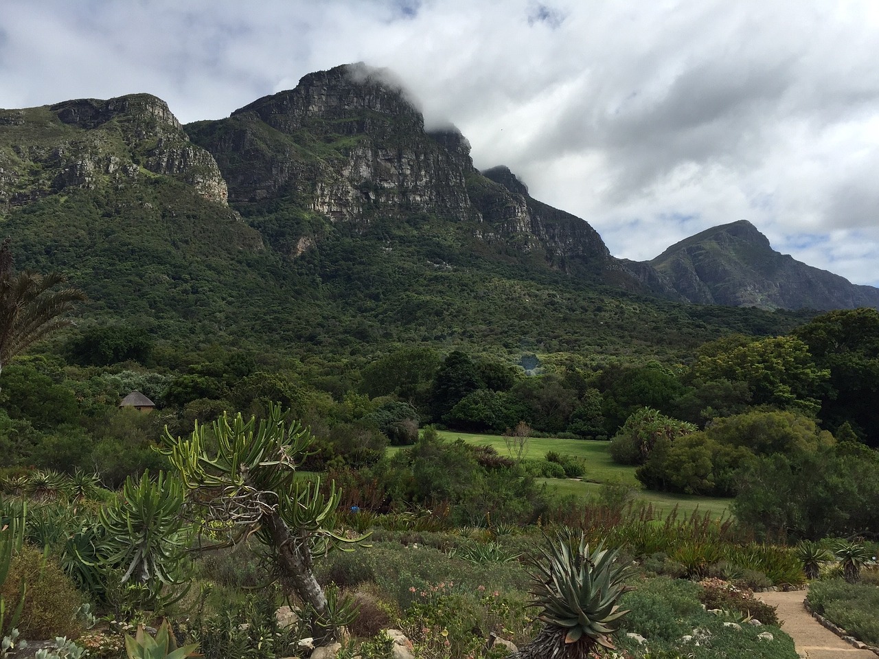 mountain kirstenbosch botanical free photo