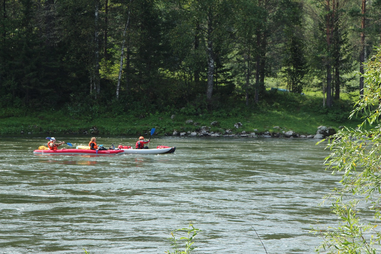 mountain altai  biya  river free photo