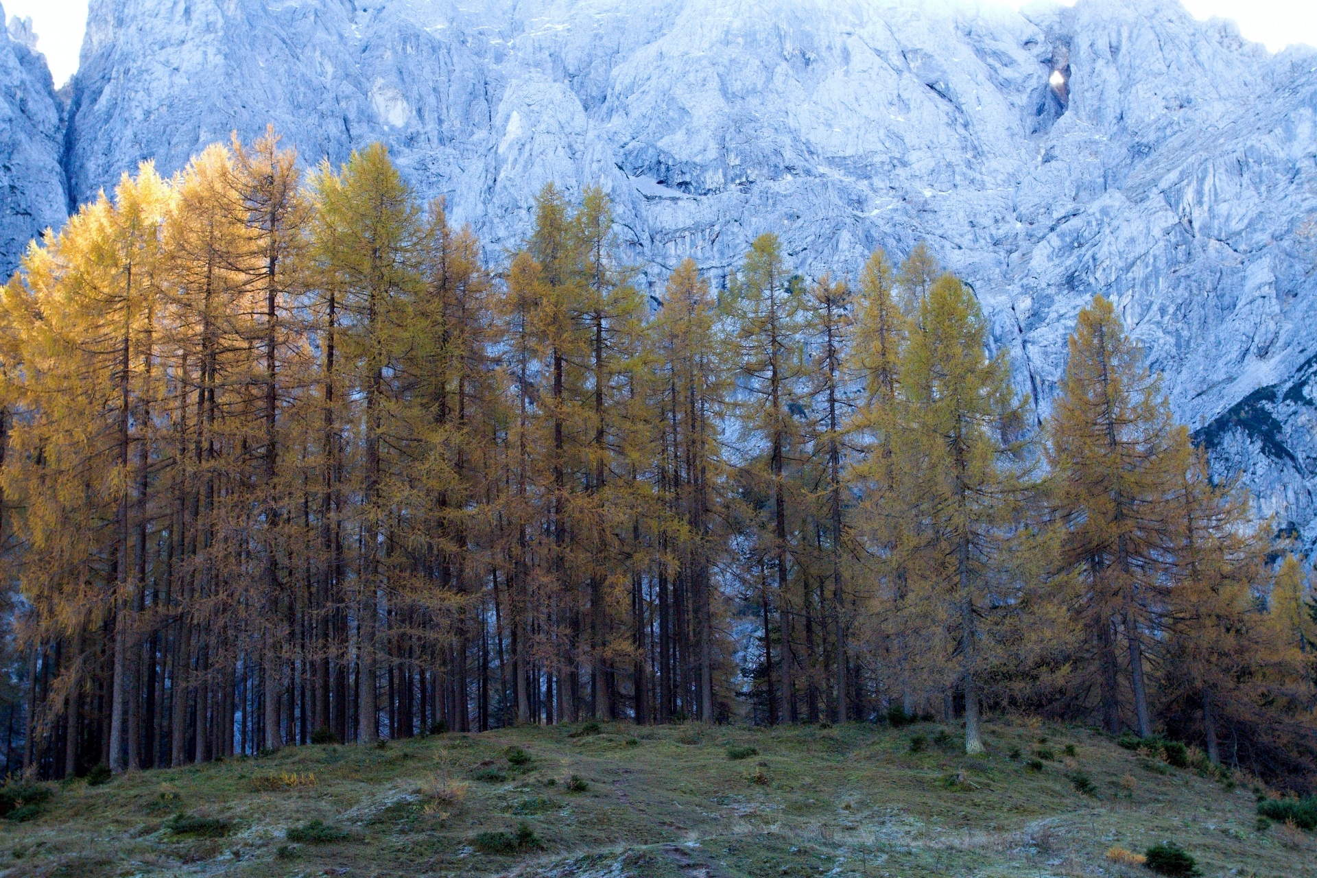 colors autumn alps free photo