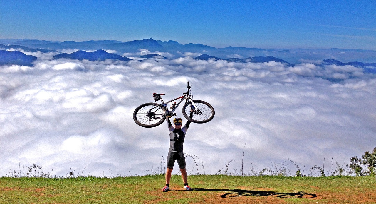 mountain bike bike wheel free photo