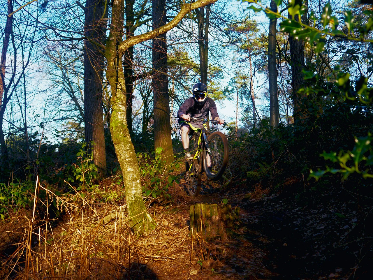 mountain bike sport forest free photo