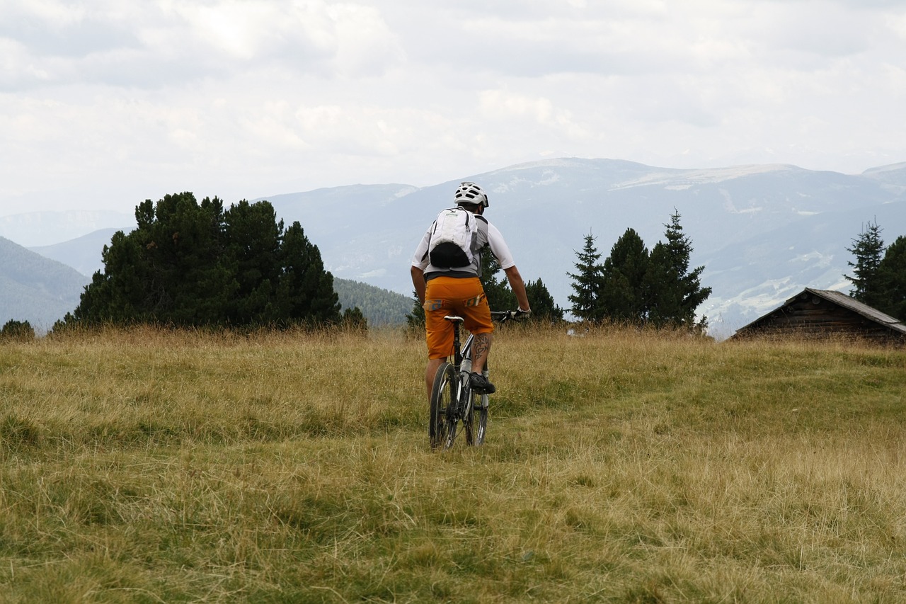 mountain bike mountain bike free photo