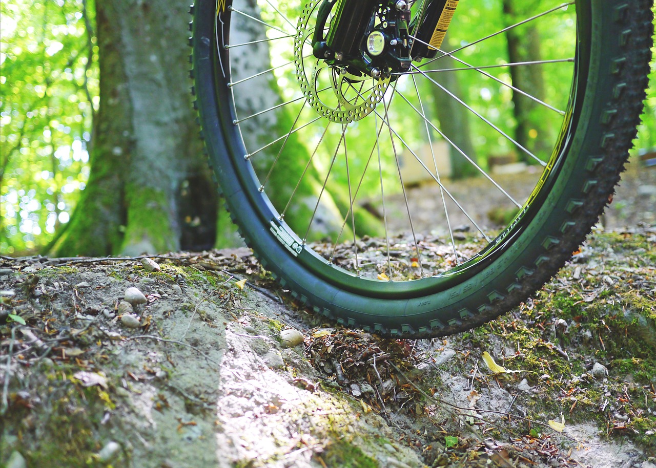 mountain bike bike cycling free photo