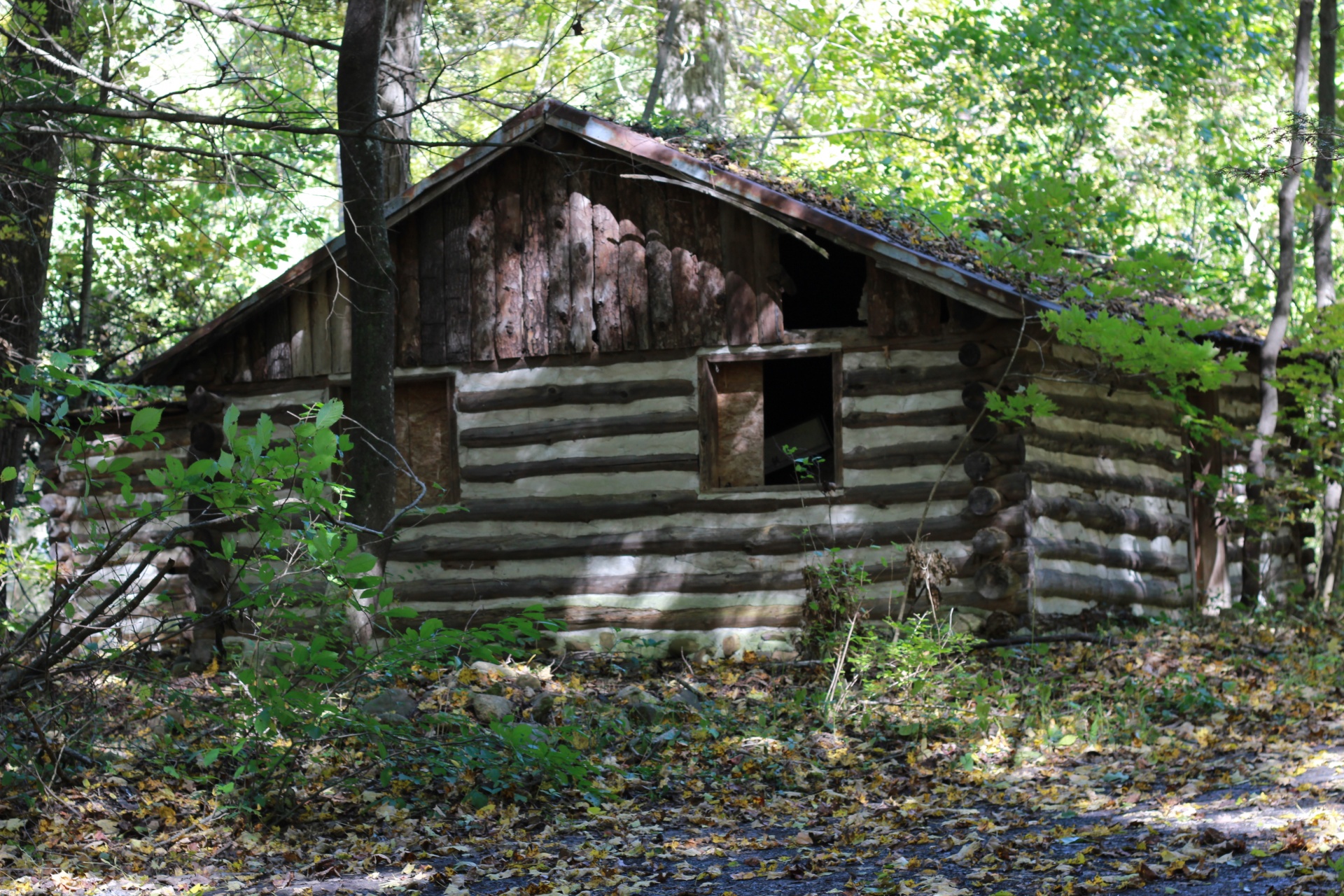 mountain wv cabin free photo