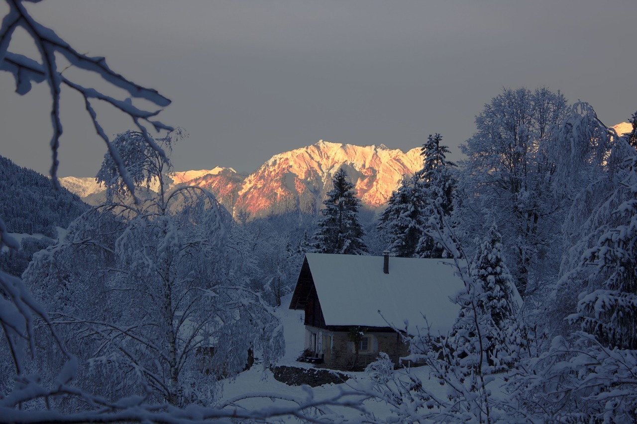 mountain chalet  savoie  beaufortain free photo