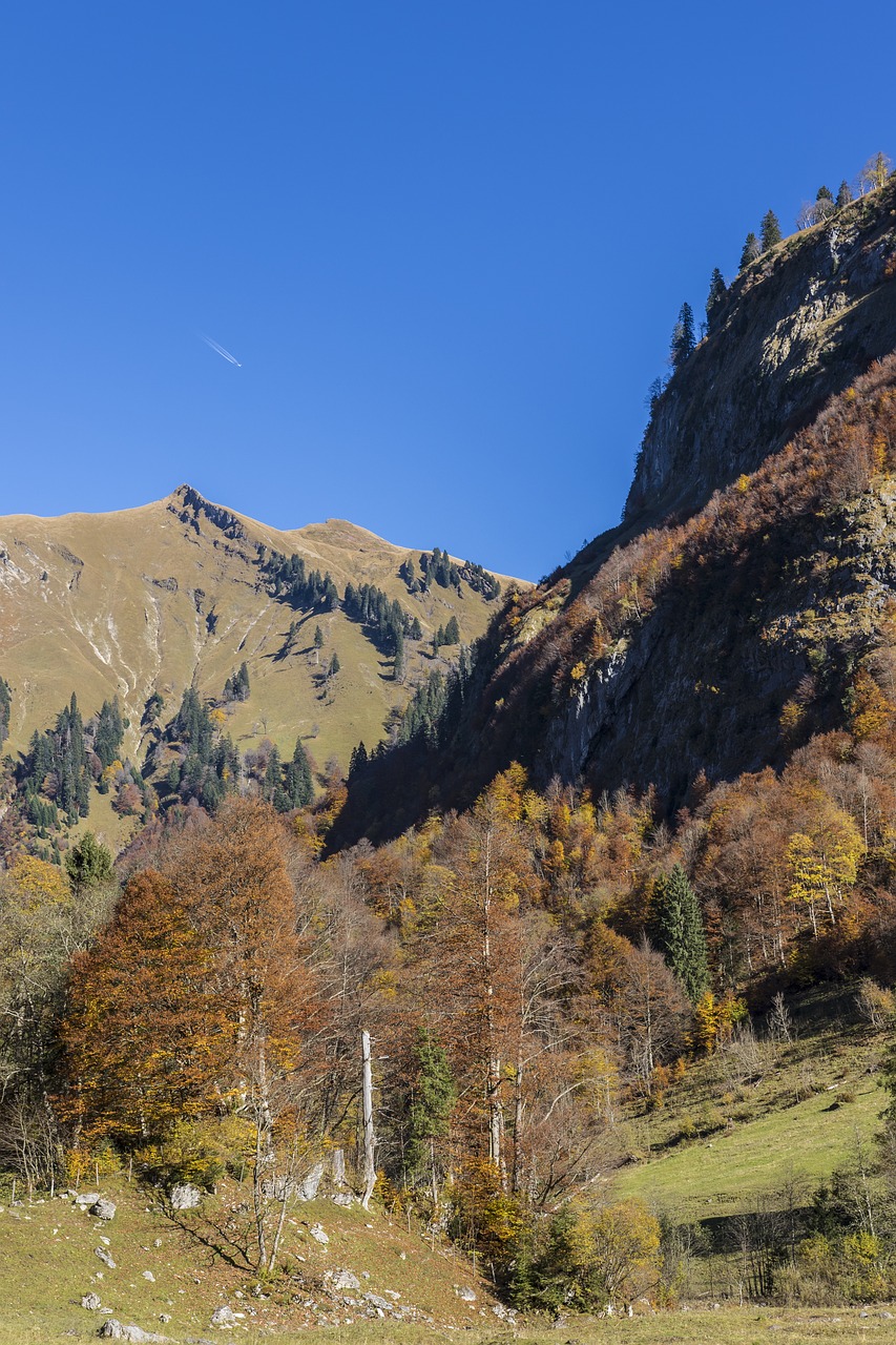 mountain forests autumn forest alpine free photo