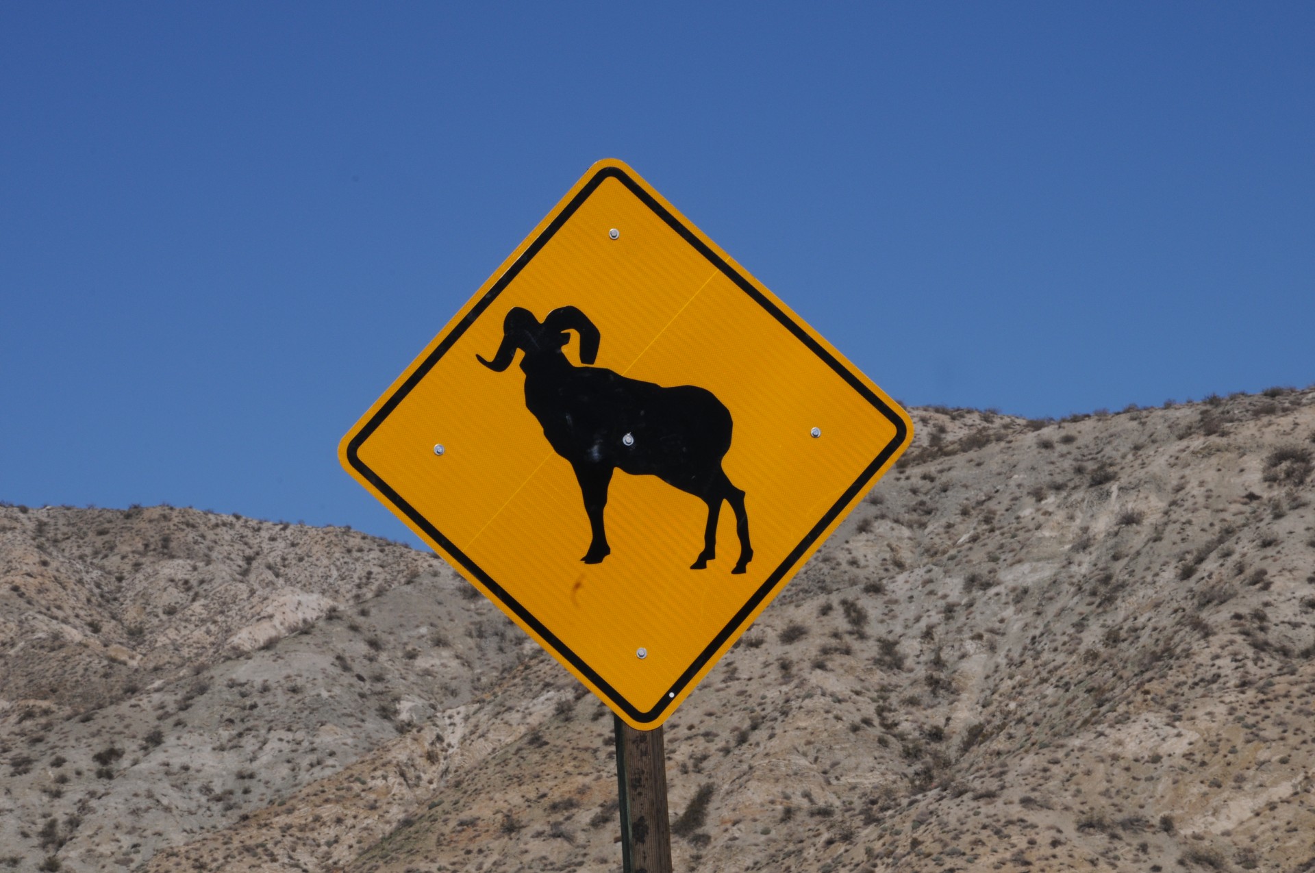 street sign signs mountain goats free photo