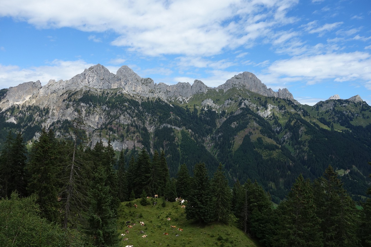 mountain group forest blue free photo