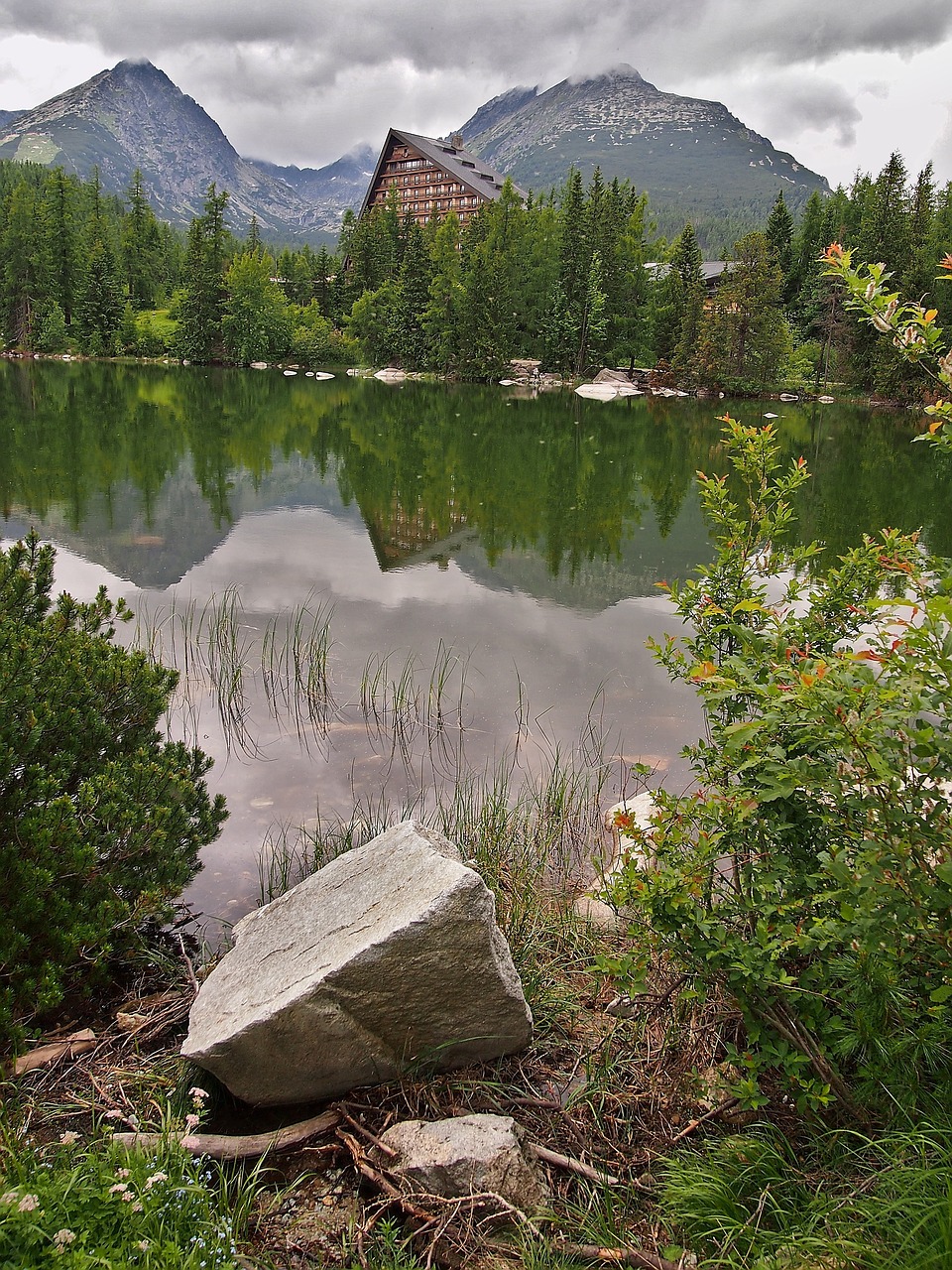 mountain lake  reflection water  high tatras free photo