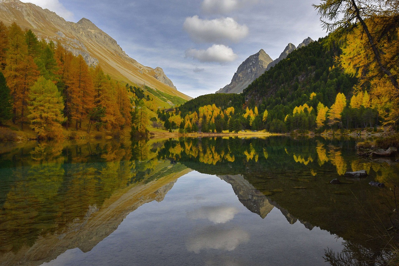 mountain lake  albula valley  fall colors free photo