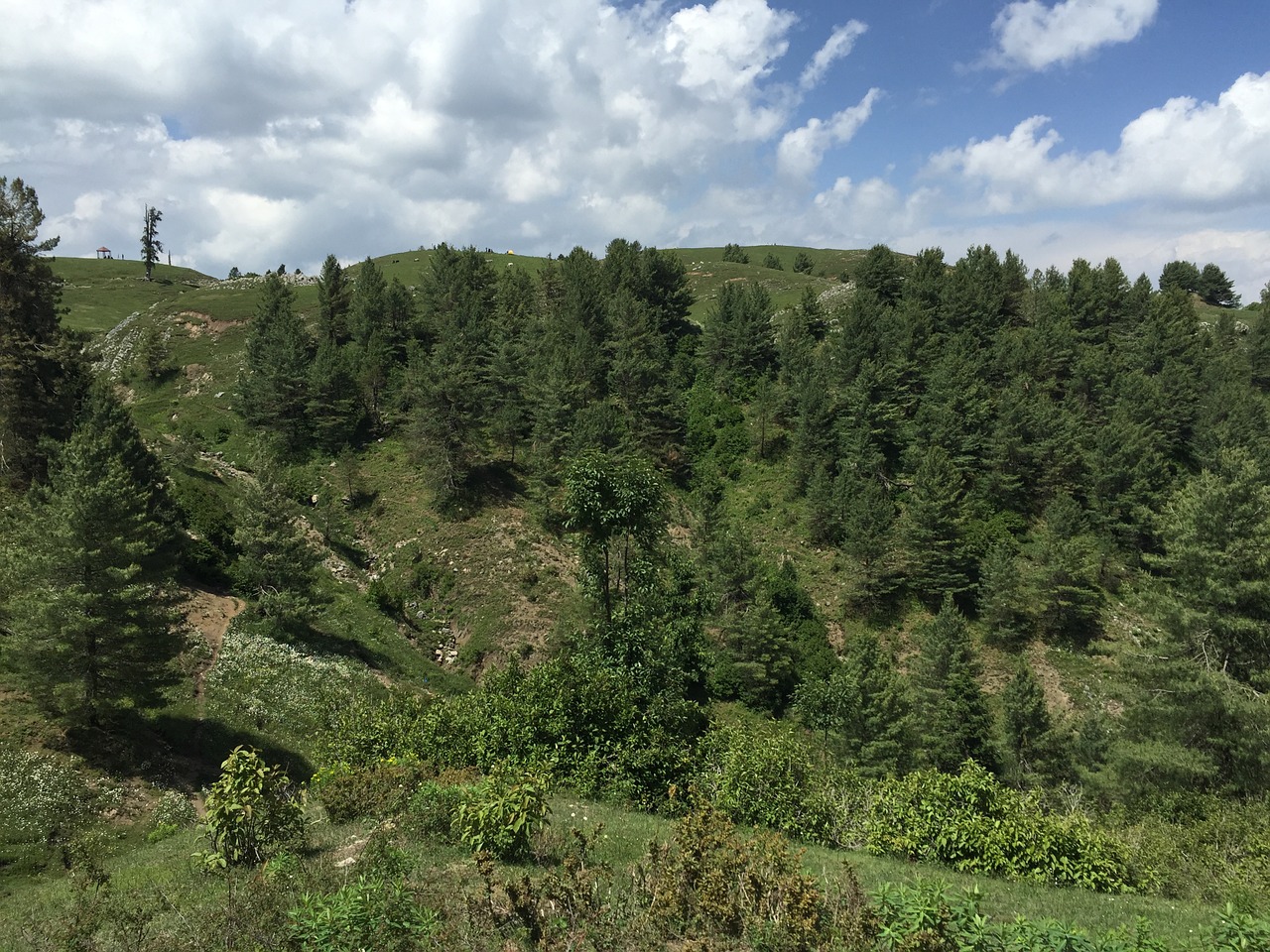 mountain landscape outdoor tree free photo