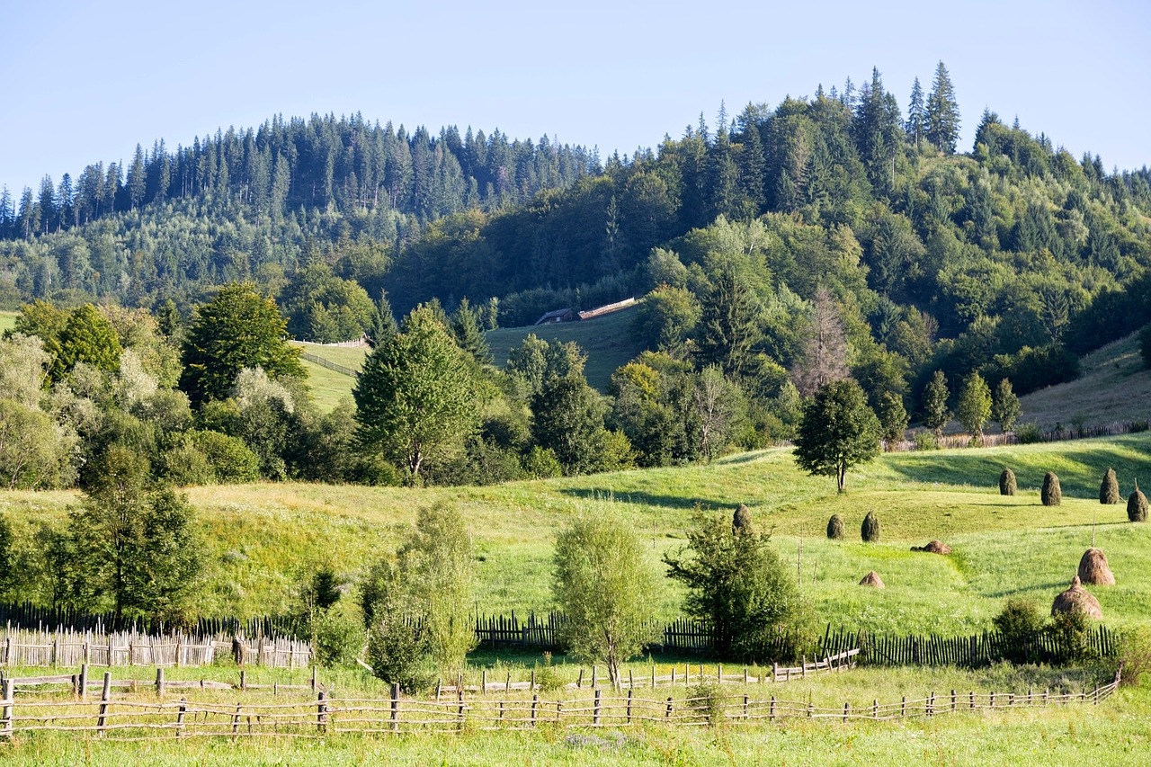 mountain landscape green beautiful free photo