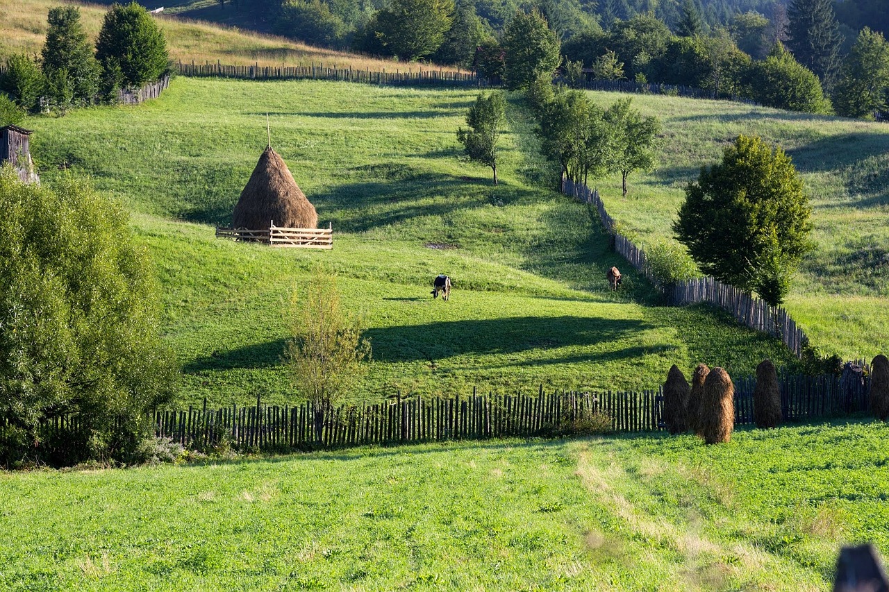 mountain landscape green country free photo