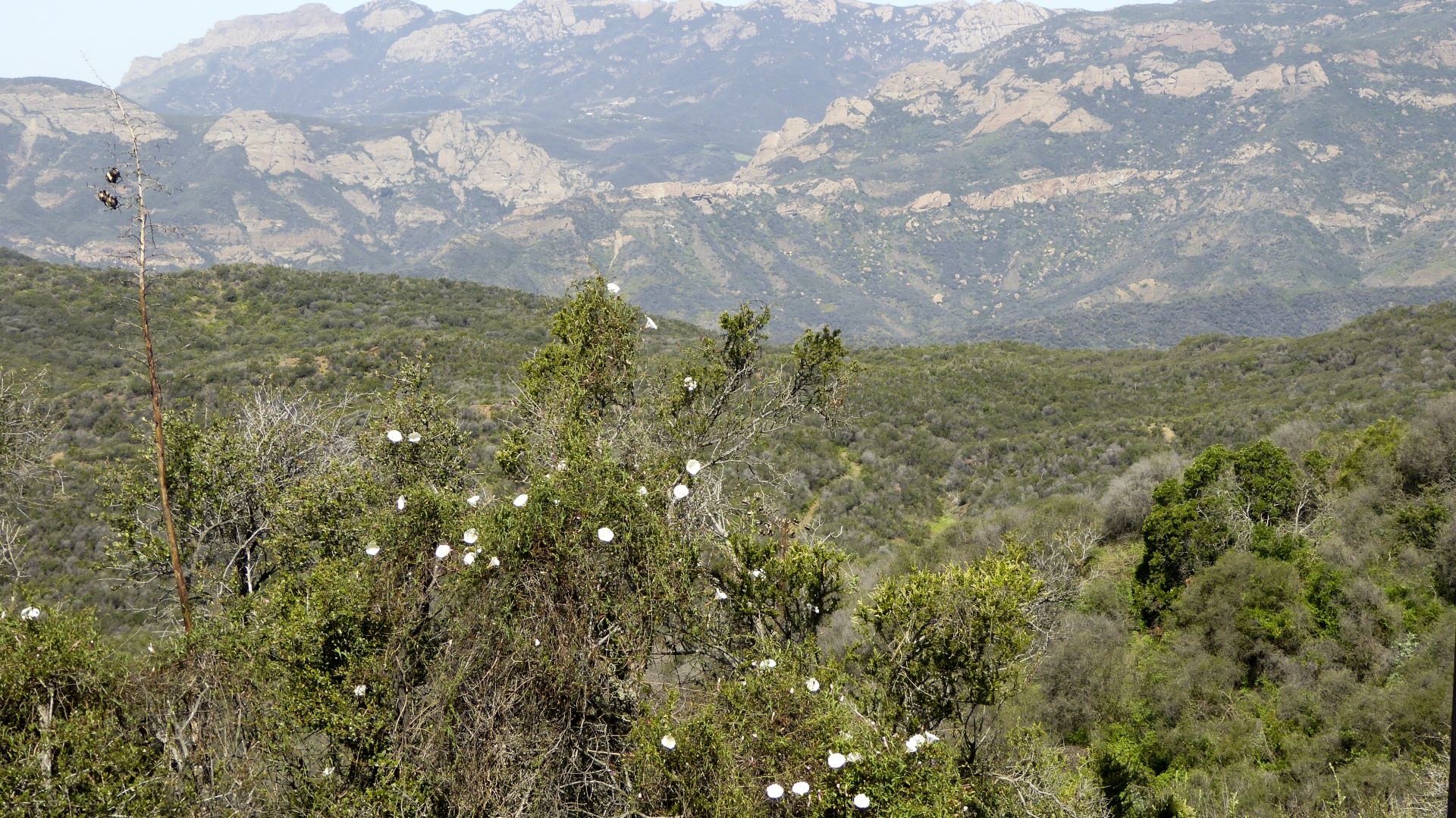 landscape mountains california free photo