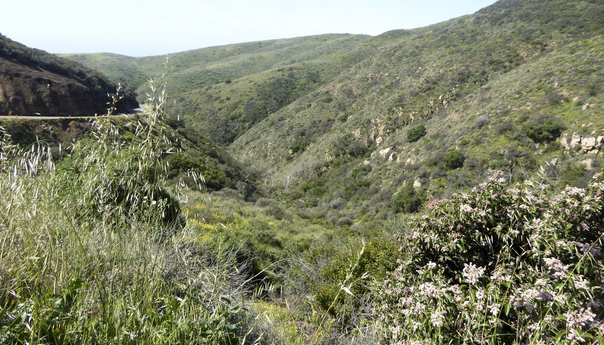 landscape mountains california free photo