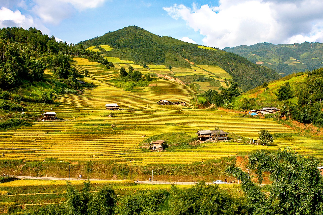 mountain landscape scenery terraces free photo