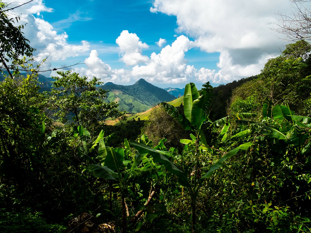 mountain landscape mountains north thailand free photo