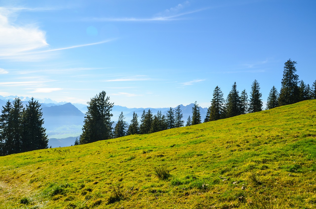 mountain meadow hiking switzerland free photo