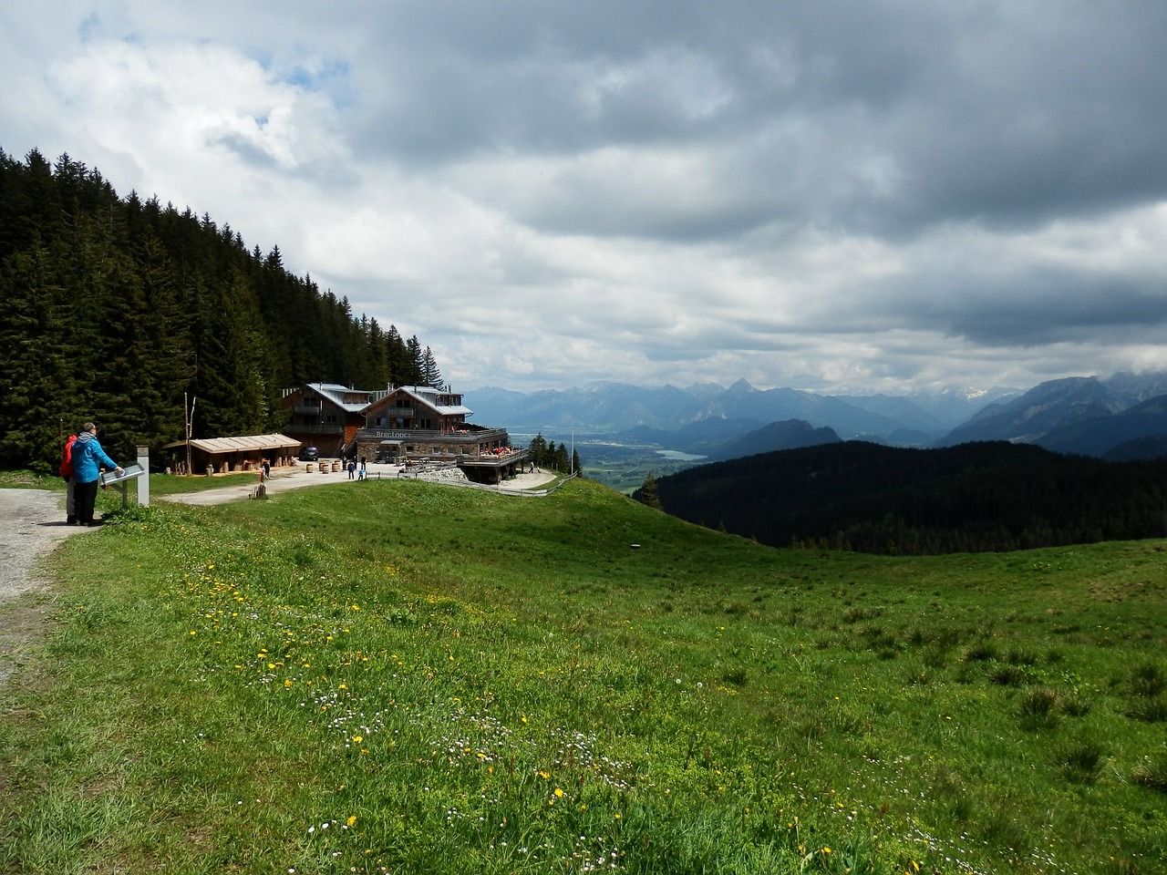 mountain meadow alpine pointed wanderer free photo